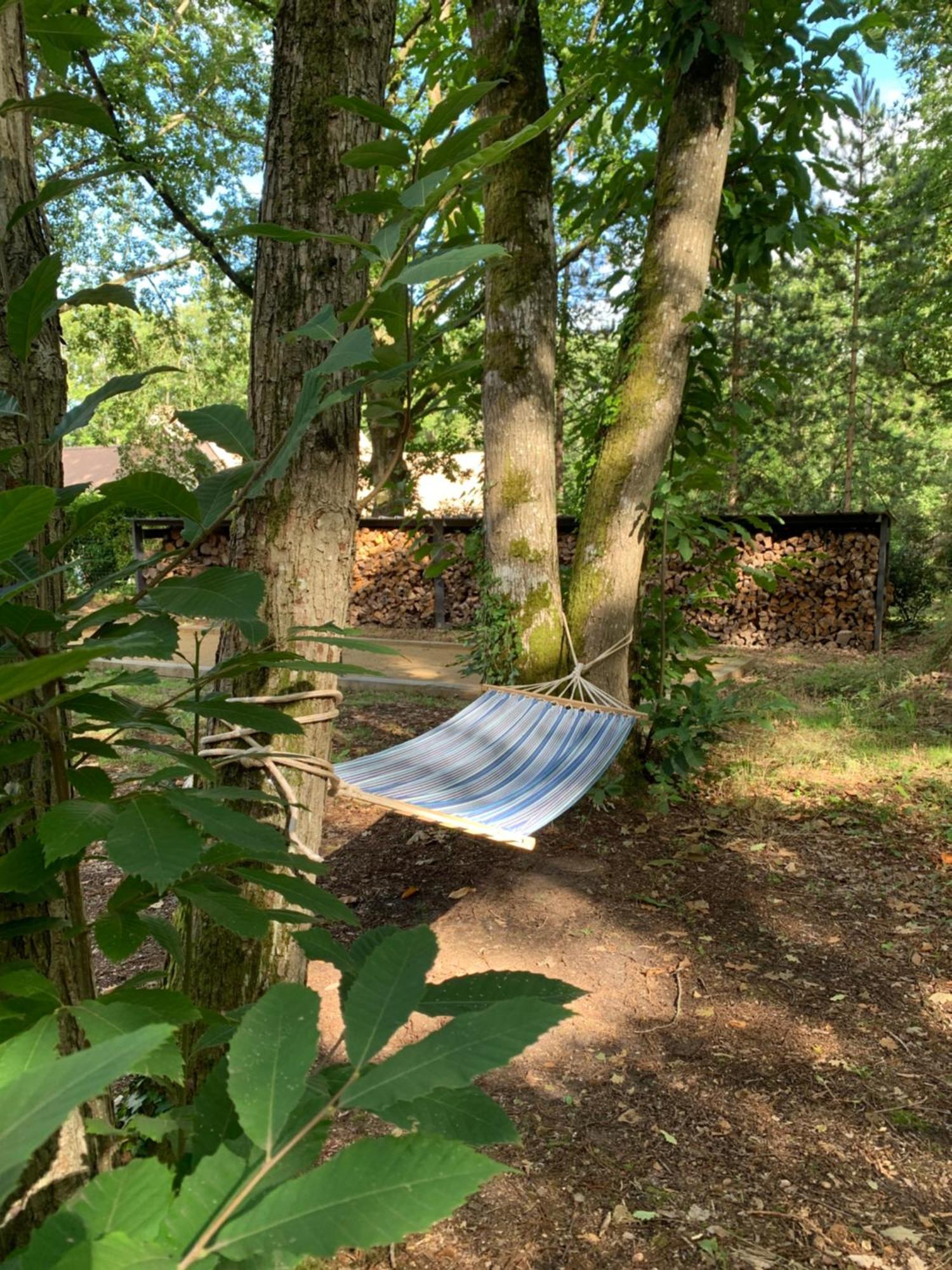 Somptueuse Villa D'Architecte Rochefort-en-Yvelines Kültér fotó